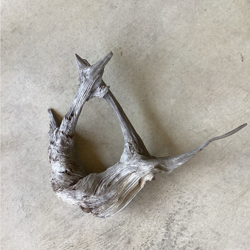 Real Wood, One-Piece Tree Root - Picture 5 of 11